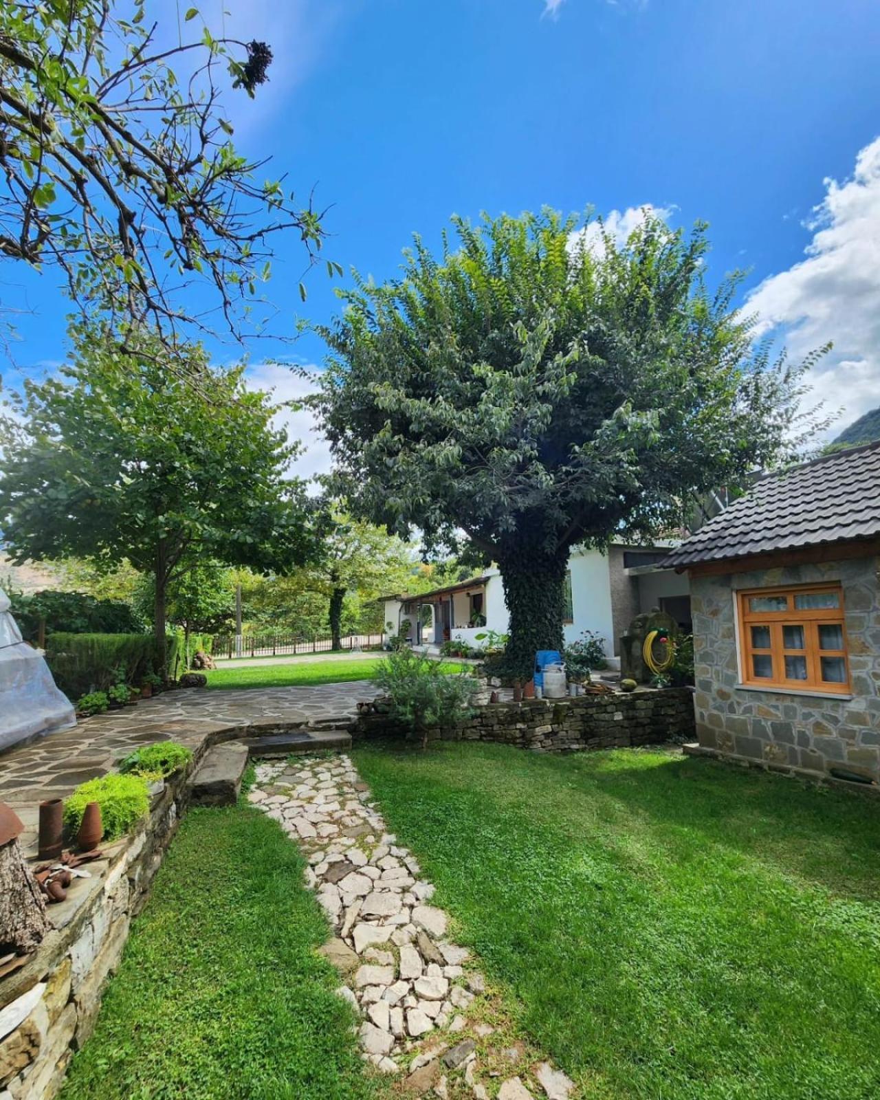 Bujtina Peshtan Guesthouse&Camping Tepelene Exteriör bild